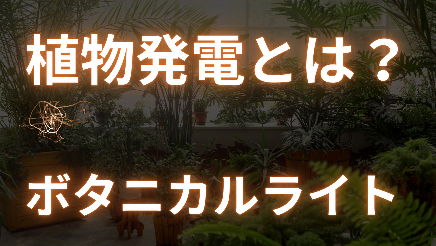 ボタニカルライト
