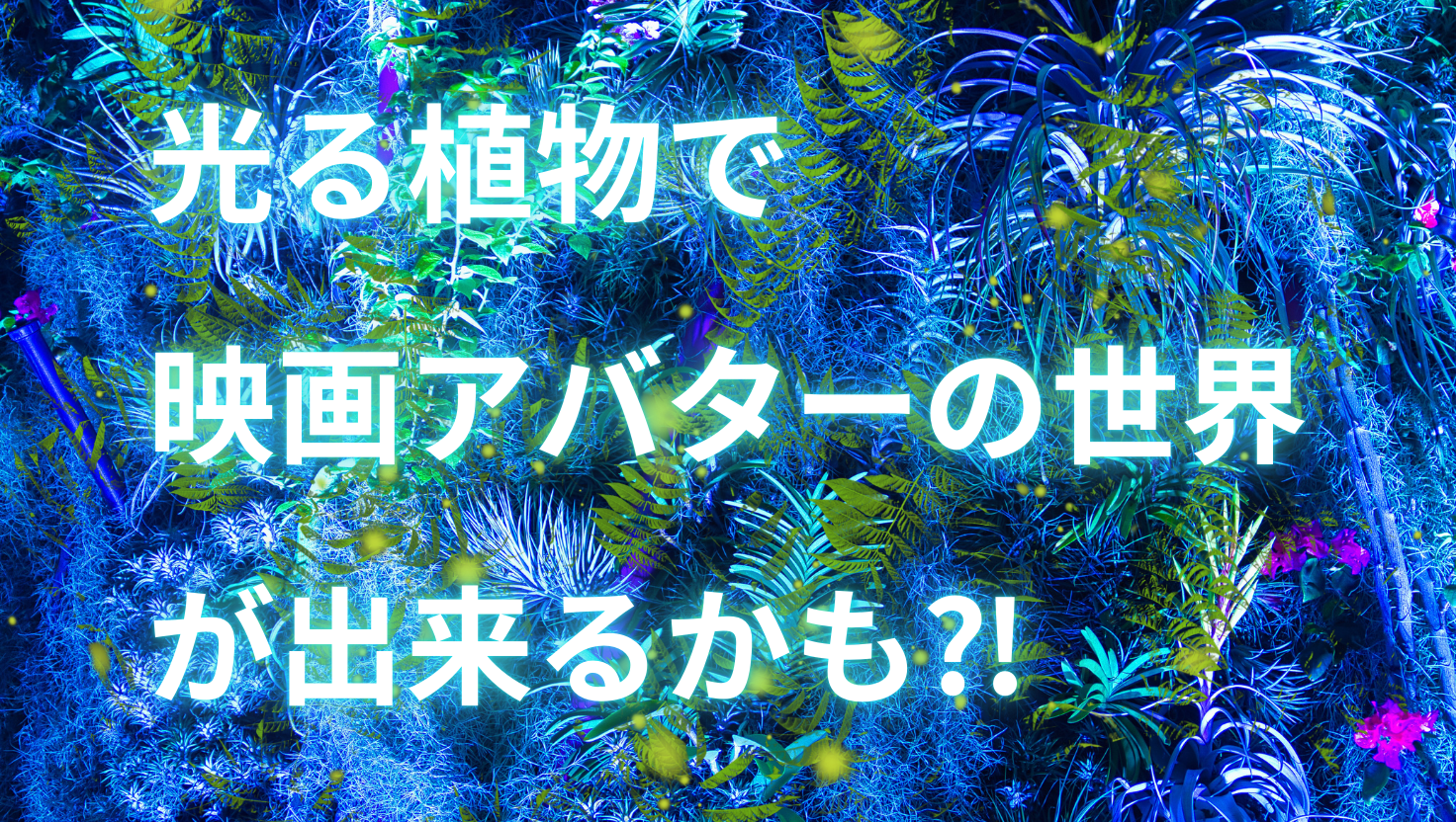 光る植物でアバターの世界